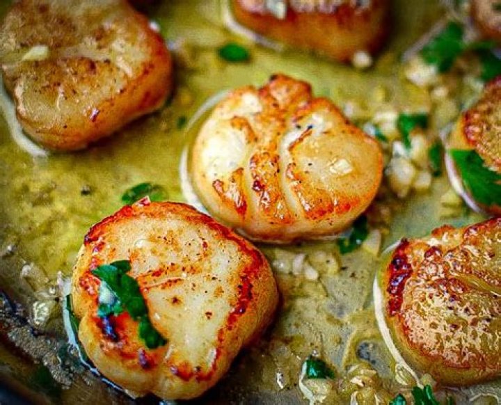 Are scallops easily digested?