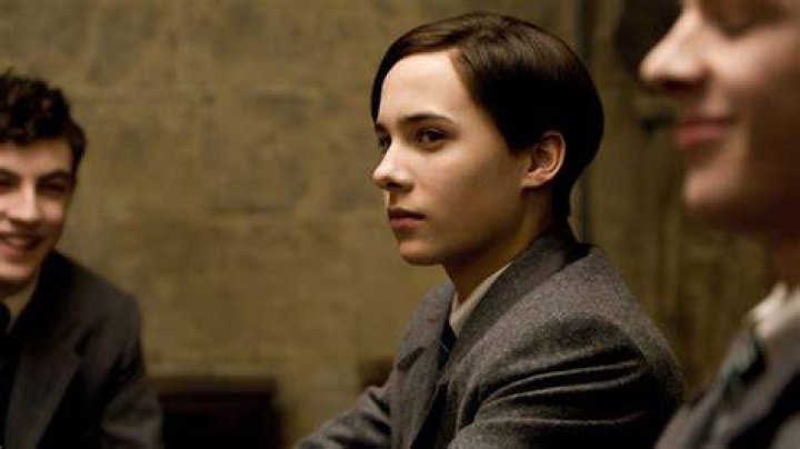 Is Tom Riddle half-blood?