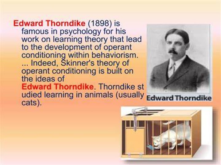 What was Thorndike theory?